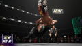 AEW: Fight Forever thumbnail 3