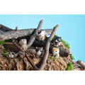 Mega Cat Project Attack on Titan: Attack on Nyanko Survey Corps Group da Nyan! (Set of 8 Pieces) thumbnail 10