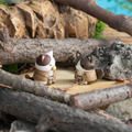 Mega Cat Project Attack on Titan: Attack on Nyanko Survey Corps Group da Nyan! (Set of 8 Pieces) thumbnail 13