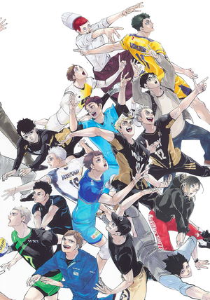 Haikyuu!! 10th Chronicle Comic Book_