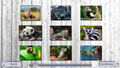Jigsaw Fun 3-in-1 Collection thumbnail 2