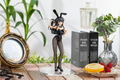 KD Colle Light Rascal Does Not Dream of Bunny Girl Senpai Pre-Painted Figure: Mai Sakurajima Bunny Ver. thumbnail 8