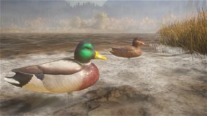 theHunter: Call of the Wild - Duck and Cover Pack (DLC)
