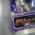 SNK Heroines Tag Team Frenzy 1/7 Scale Pre-Painted Figure: Terry Bogard (Damaged Box) thumbnail 3