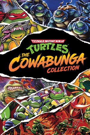 Teenage Mutant Ninja Turtles: The Cowabunga Collection_