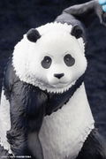 ARTFX J Jujutsu Kaisen 1/8 Scale Pre-Painted Figure: Panda thumbnail 9