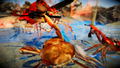 Fight Crab [Shella Awesome Edition] thumbnail 10
