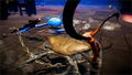 Fight Crab [Shella Awesome Edition] thumbnail 11