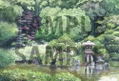 Mateusz Urbanowicz Kuradashi 2010-2021 thumbnail 18