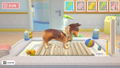 My Universe: Pet Clinic Cats & Dogs [Panda Edition] thumbnail 8