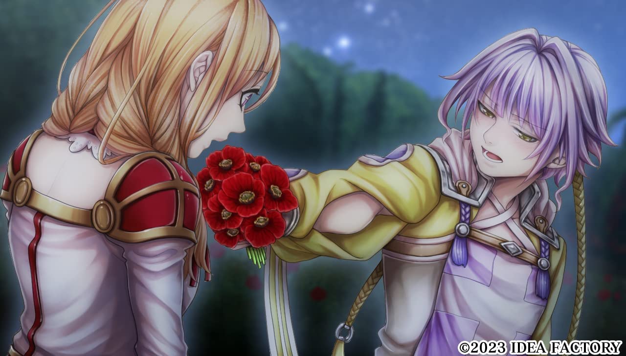 Princess Arthur for Nintendo Switch for Nintendo Switch, Nintendo