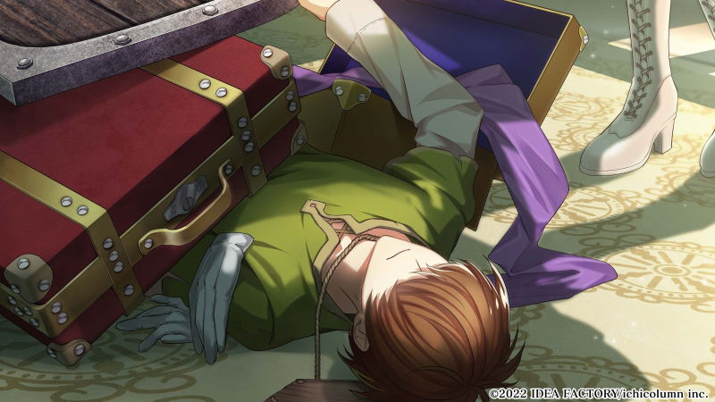 Temirana Koku no Tsuiteruhime to Tsuitenaikishidan image 2