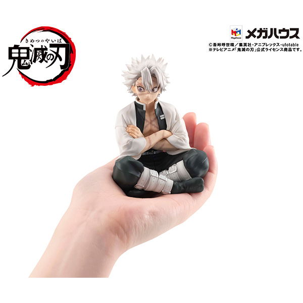 G.E.M. Series Demon Slayer Kimetsu no Yaiba Palm Size: Shinazugawa-san image 5