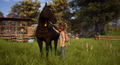 Windstorm: An Unexpected Arrival thumbnail 2