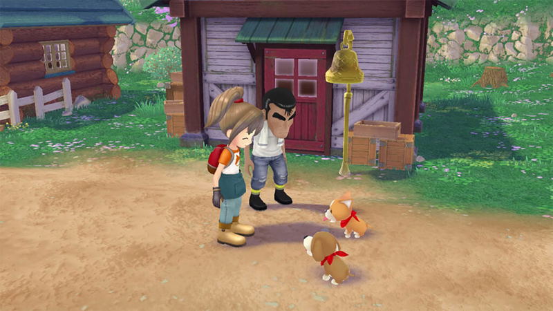 Story of Seasons: A Wonderful Life image 6