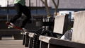 Session: Skate Sim (Multi-Language) thumbnail 3