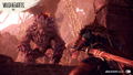 Wild Hearts thumbnail 7