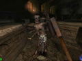 Arx Fatalis <span class="ext" style="background-color: #2a475e; color: #FFFFFF;">STEAM</span> <span class="ext ext_digital">digital</span> thumbnail 2