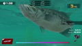 THE Bass Fishing (English) thumbnail 2