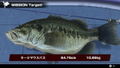 THE Bass Fishing (English) thumbnail 4