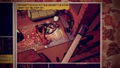 What Remains of Edith Finch <span class="ext" style="background-color: #2a475e; color: #FFFFFF;">STEAM</span> <span class="ext ext_digital">digital</span> thumbnail 4