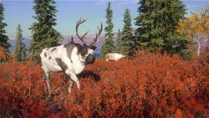 theHunter: Call of the Wild - Yukon Valley (DLC)