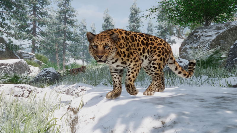 Planet Zoo: Conservation Pack (DLC) <span class="ext" style="background-color: #B0000F; color: #FFFFFF;">DLC</span> <span class="ext" style="background-color: #2a475e; color: #FFFFFF;">STEAM</span> <span class="ext ext_digital">digital</span> image 6