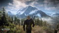 The Witcher 3: Wild Hunt [Complete Edition] (Multi-Language) thumbnail 13