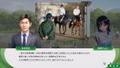 Winning Post 10 thumbnail 9