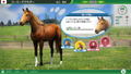 Winning Post 10 [Anniversary Premium Box] (Limited Edition) thumbnail 6