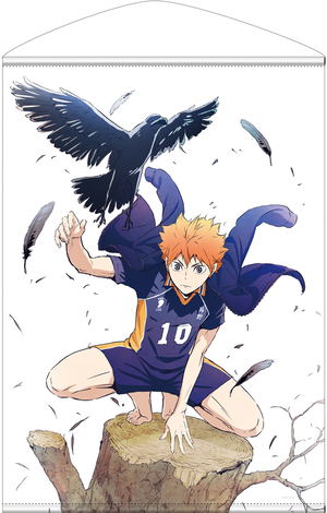 Haikyu!! Shoyo Hinata Ver. 1.0 B2 Wall Scroll_