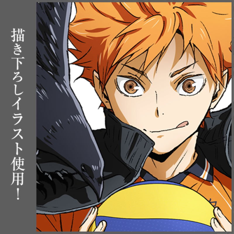 Haikyu!! Shoyo Hinata Ver. 2.0 B2 Wall Scroll image 4