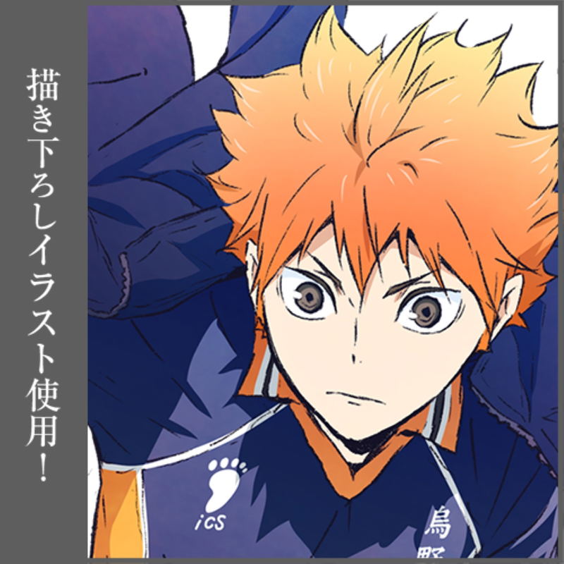 Haikyu!! Shoyo Hinata Ver. 1.0 B2 Wall Scroll image 4