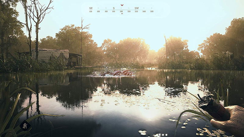 Hunt: Showdown [Limited Bounty Hunter Edition] image 6