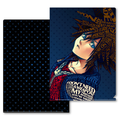 Kingdom Hearts Metallic File Sora thumbnail 1