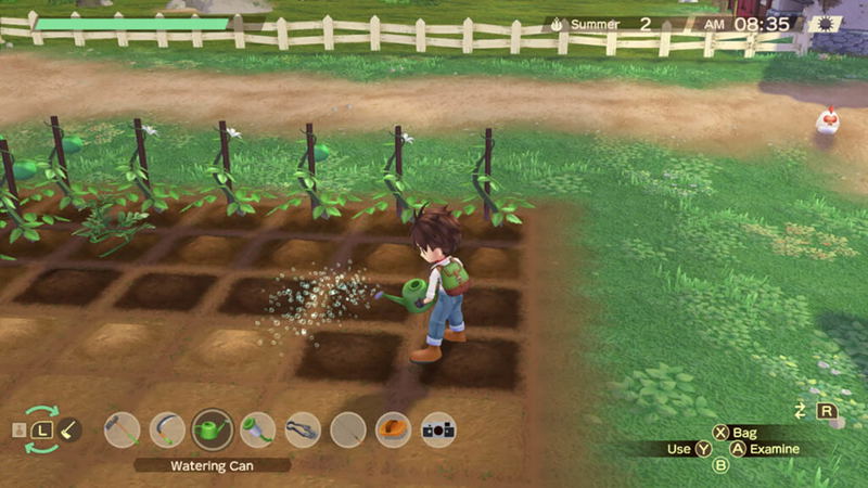 Story of Seasons: A Wonderful Life [Premium Edition] image 7