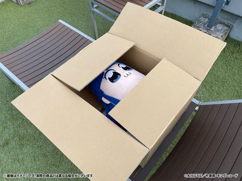 Pop Team Epic Mochimochi Plush Cushion: Pipimi image 4