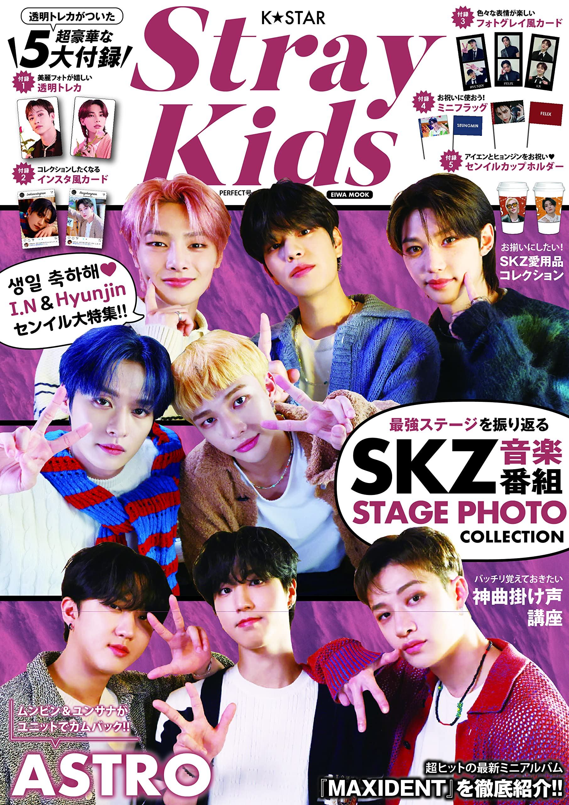 K Star Stray Kids Perfect Issue