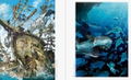 Posuka Demizu Art Book Pone thumbnail 5