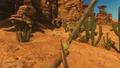 Starsand thumbnail 4