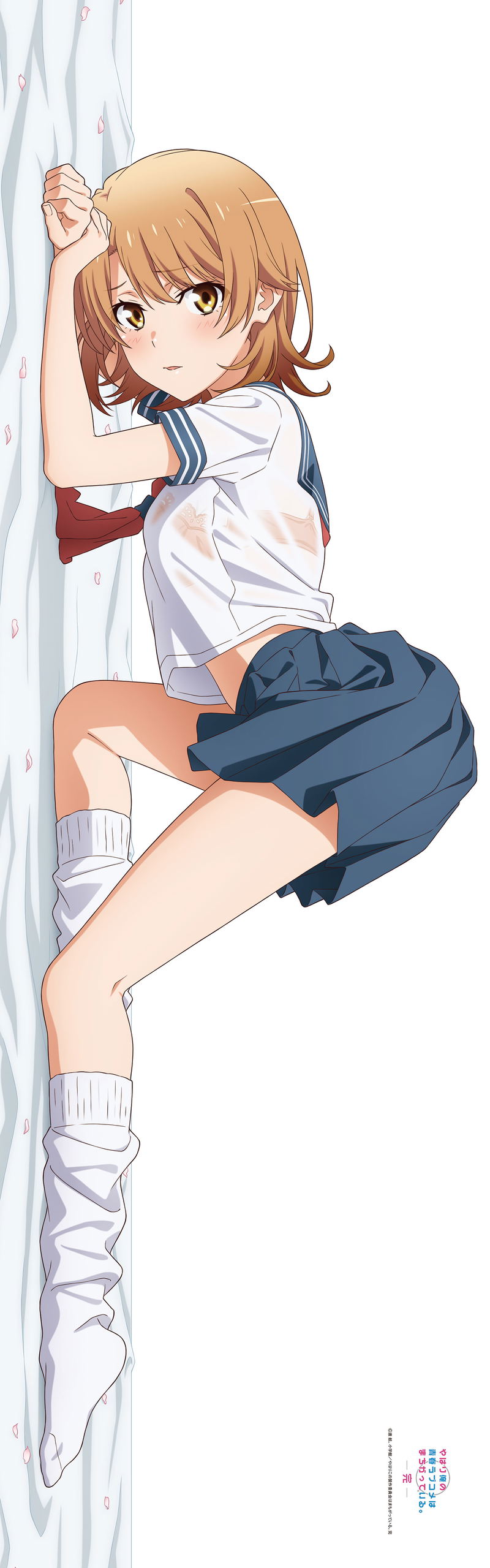 Yahari Ore no Seishun Love Comedy wa Machigatteiru. Kan Original Illustration Premium Dakimakura Cover: Sailor Uniform Iroha image 3