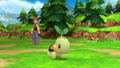 Pokemon Brilliant Diamond / Shining Pearl Double Pack (Chinese) thumbnail 14
