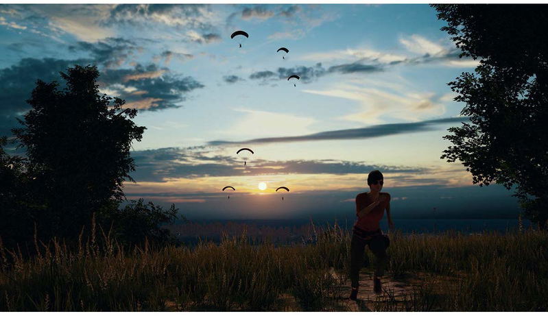 PlayerUnknown's Battlegrounds image 2