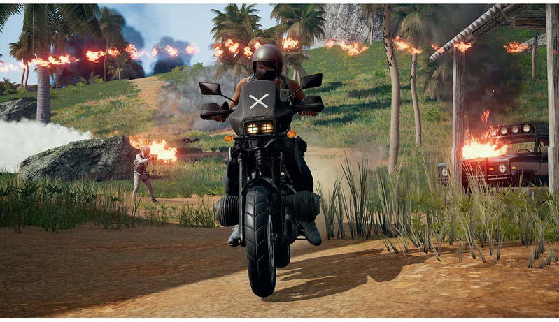 PlayerUnknown's Battlegrounds image 5