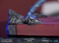 Cowboy Bebop Resin Statue: Last Stand Spike [Standard Edition] thumbnail 30