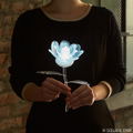 Final Fantasy XIV Flower Light Elpis Flower thumbnail 2