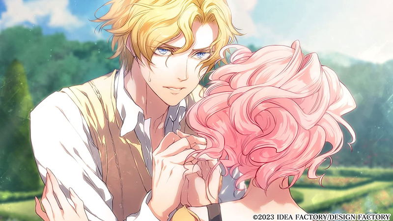 Wand of Fortune R for Nintendo Switch image 3