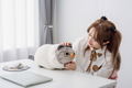 Team Timothy Kuikui Sheep Hug Pillow thumbnail 7