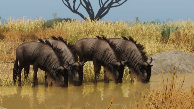 Planet Zoo: Grasslands Animal Pack (DLC) <span class="ext" style="background-color: #B0000F; color: #FFFFFF;">DLC</span> <span class="ext" style="background-color: #2a475e; color: #FFFFFF;">STEAM</span> <span class="ext ext_digital">digital</span> image 3