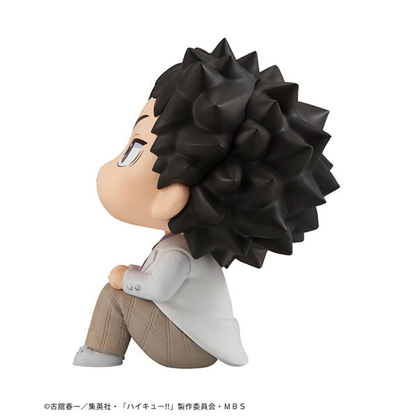 LookUp Haikyu!! Iwaizumi Hajime (Re-run) image 5